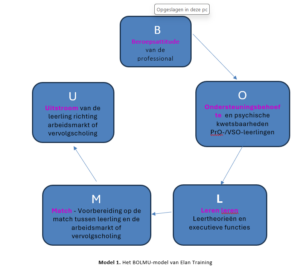 BOLMU-model van Elan Training - Leergang Interne Stagebegeleider